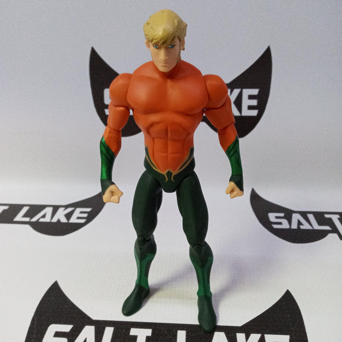 DC Universe Animated Movie Aquaman - Rogue Toys