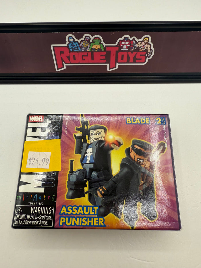 Diamond Select Toys Marvel Universe Minimates 2-Pack Assault Punisher & Blade