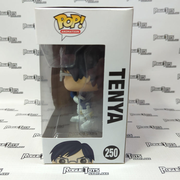 Funko POP! Animation My Hero Academia Tenya 250 - Rogue Toys