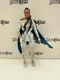 Hasbro Marvel Legends Avengers Endgame Valkyrie