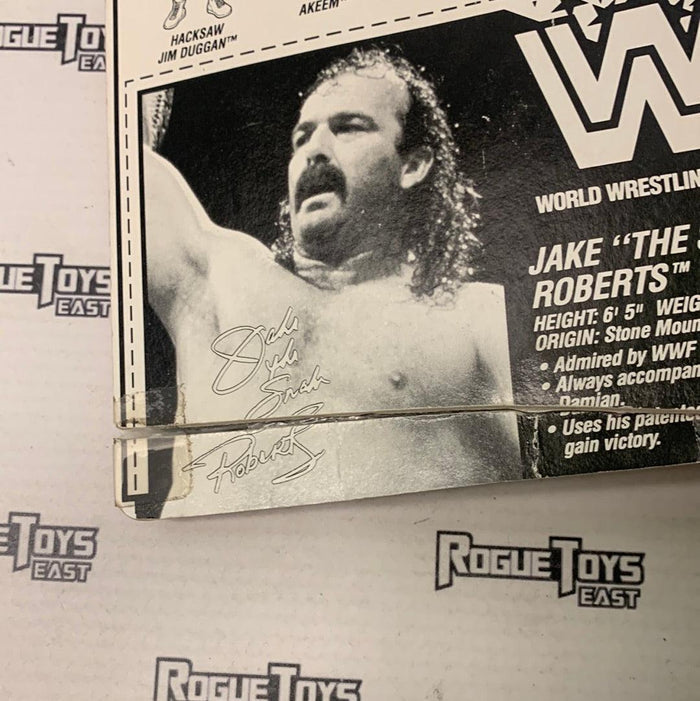 Hasbro 1990 Titan Sports Jake The Snake Roberts with Python Punch - Rogue Toys