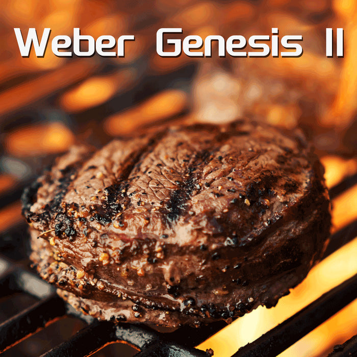 Igniter Kit for Weber Genesis II LX E/S 340 3 Burner Gas BBQ Grills, Grill Replacement Parts