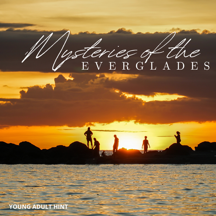 Silhouettes of people on rocks at sunset with 'Mysteries of the Everglades' text overlay for the March Young Adult hint image.