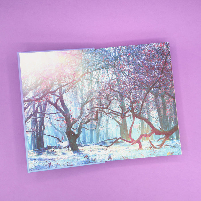 The endpaper artwork of a forest scene with cherry blossoms inside 'The Sun and the Starmaker' on a purple background